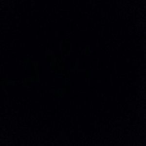 Meet your Posher, Jeri