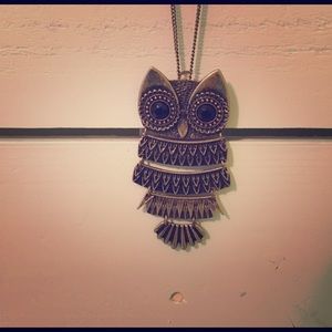 Beautiful owl necklace and pin.