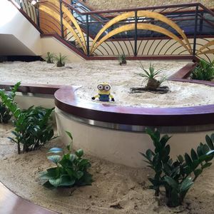 Meet your Posher, Ramona