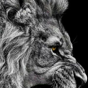 Meet your Posher, Jt