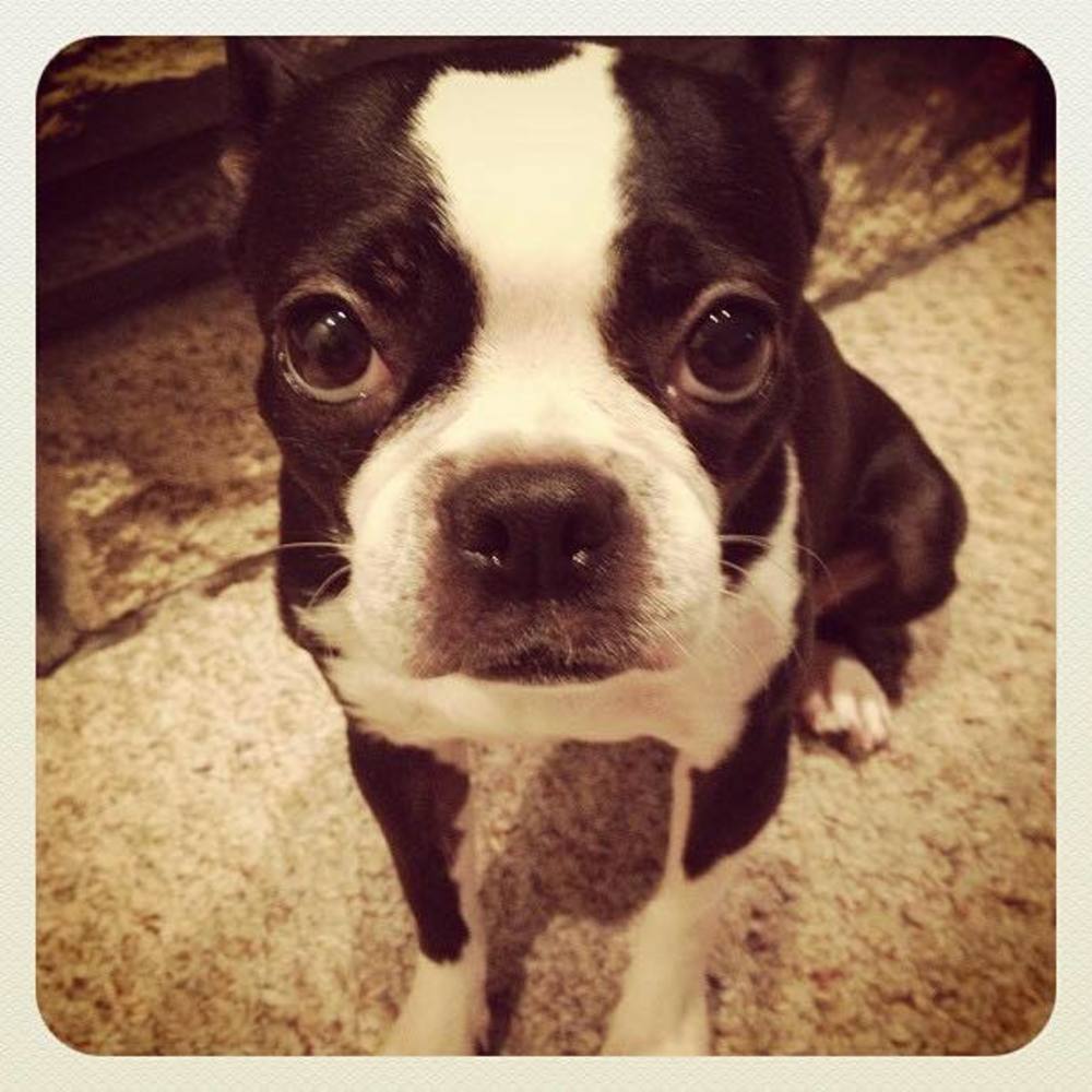 Meet your Posher, Kerri