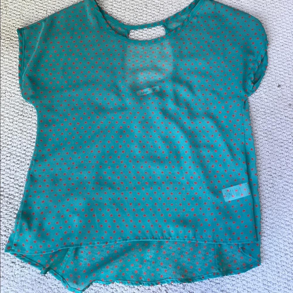 Edge brand sheer top