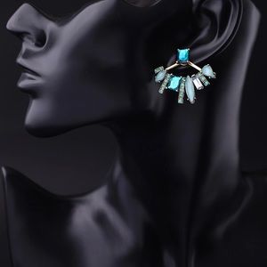 Bold & Beautiful Fashion Earrings