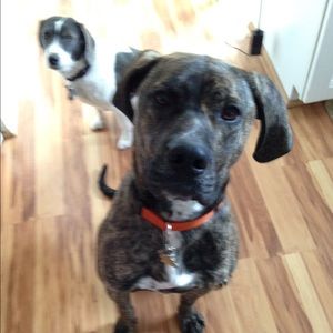 Meet your Posher, Nicholas