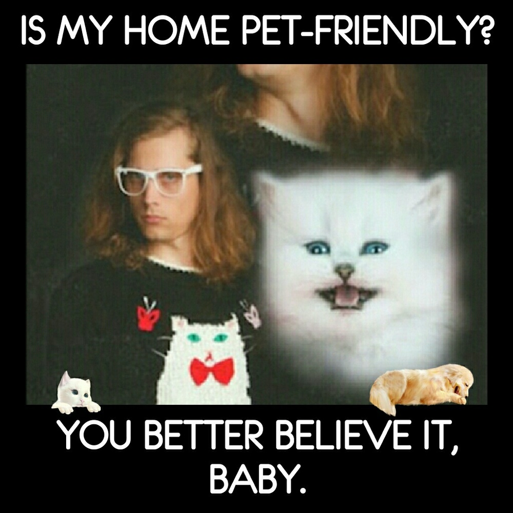 My home is PET FRIENDLY! :)