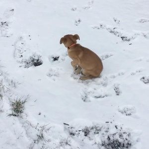 Meet your Posher, Kaleb