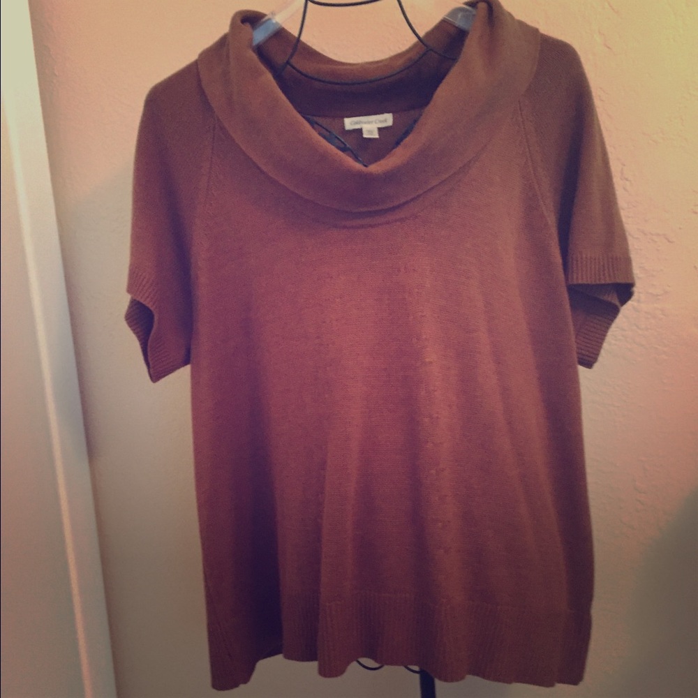 NWT COLDWATER CREEK deep cowl sweater in chestnut