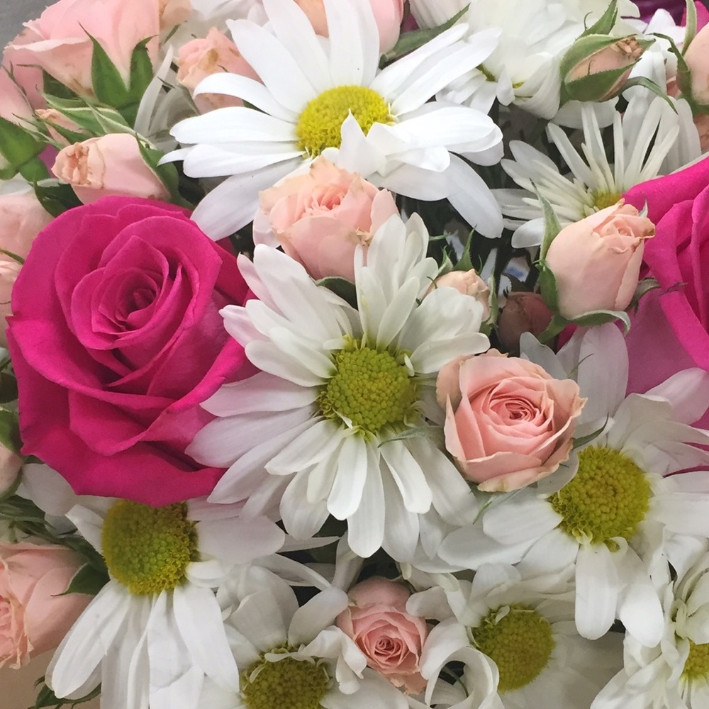 Meet your Posher, Larisa