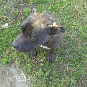 Meet your Posher, Rico