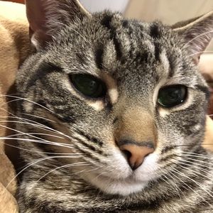 Meet your Posher, Beth