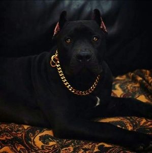 Meet your Posher, Davon