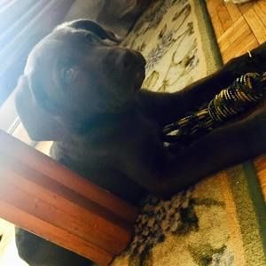 Meet your Posher, Jose