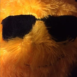 Meet your Posher, Robin