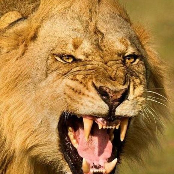 Meet your Posher, Michael - Picture 1 of 1