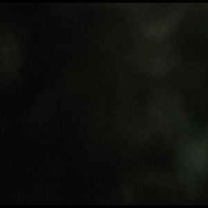 Meet your Posher, Kealey