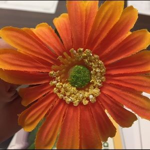 Meet your Posher, Nina