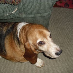 Meet your Posher, Becca