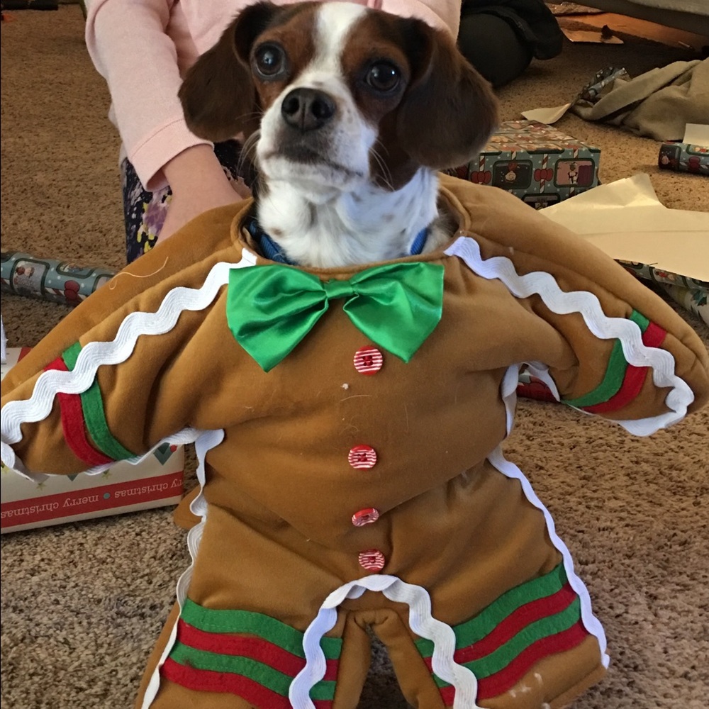 Meet your Posher, Holly