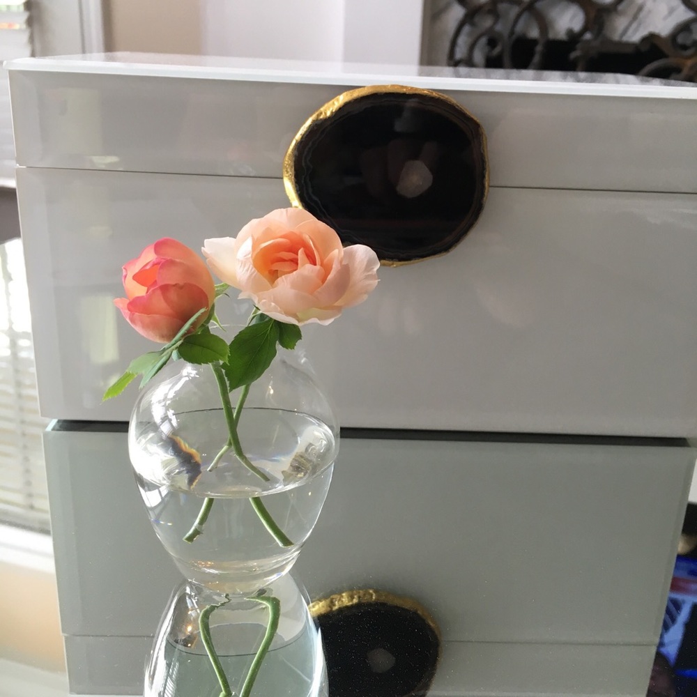 Meet your Posher, Elaine