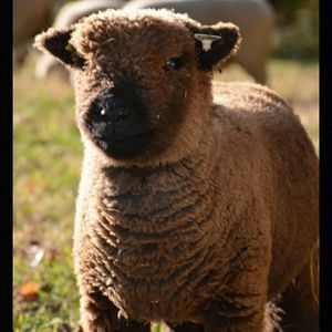 Meet your Posher, Nancy