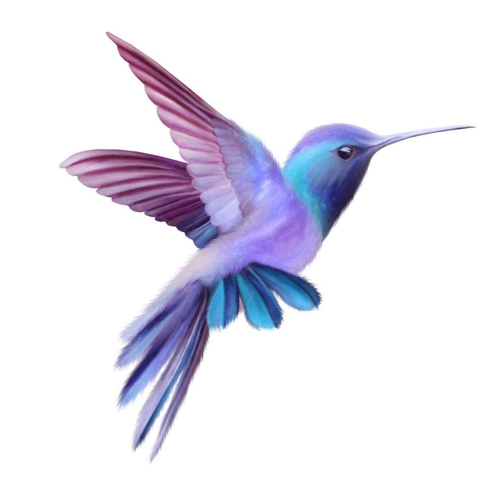 Meet your Posher, Lura