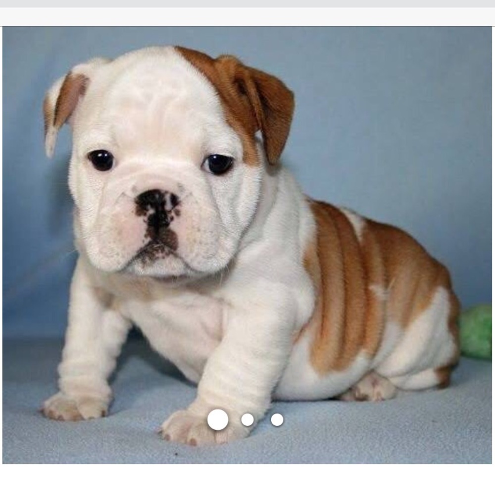 Meet your Posher, Mj