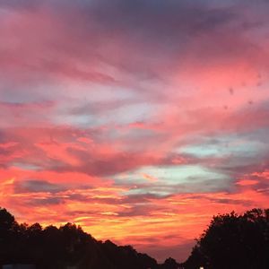 Meet your Posher, Joeli