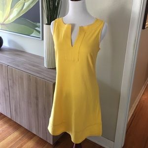 Fun spring New York & Company xs