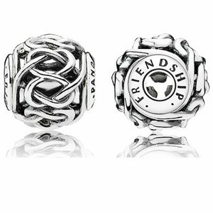Pandora Essence Friendship Charm