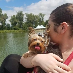 Meet your Posher, Lisa