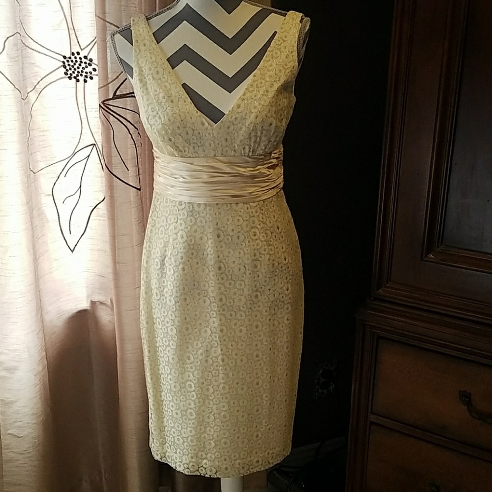 Champagne and gold lace scoop neck dress