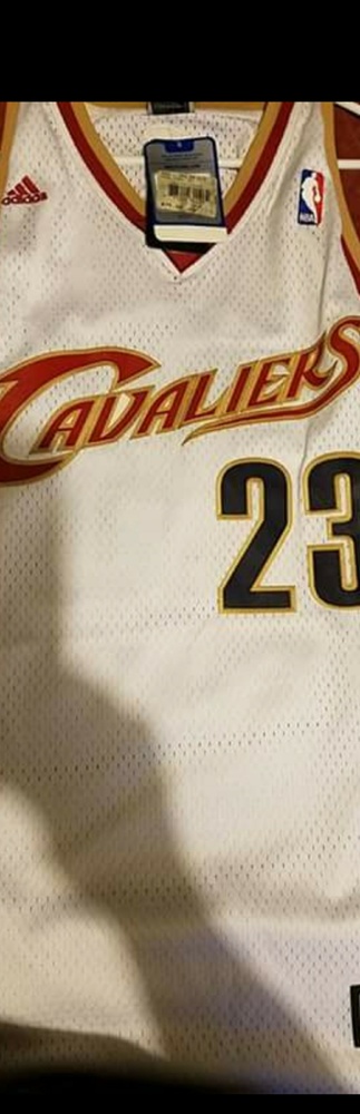 lebron james 2008-2009 jersey