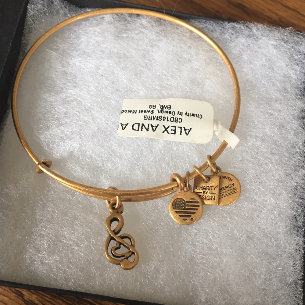 Alex and Ani music note charm bracelet