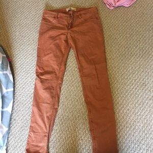 Brand new Hollister Jeans Sienna color