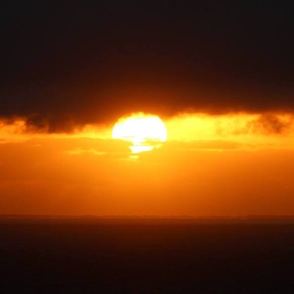 Meet your Posher, Aj - Picture 1 of 1