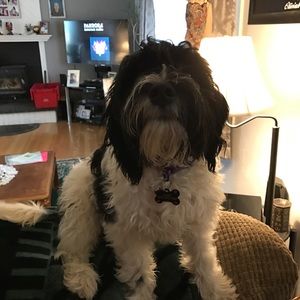 Meet your Posher, Amy