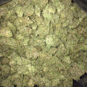 Meet your Posher, Will