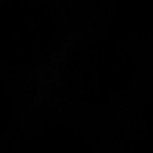 Meet your Posher, Semaj