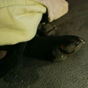 Meet your Posher, Brittany