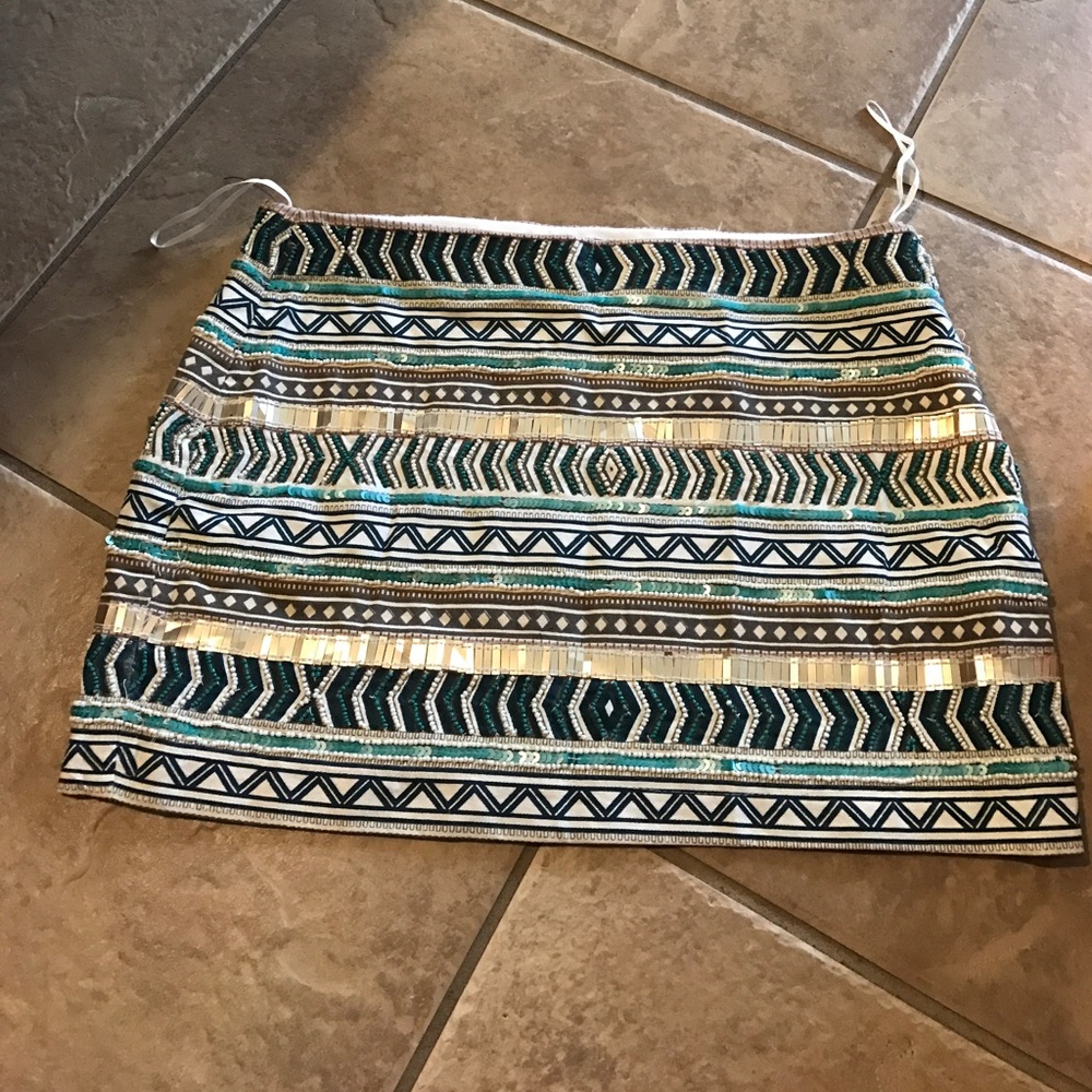 Zara Embellished Skirt