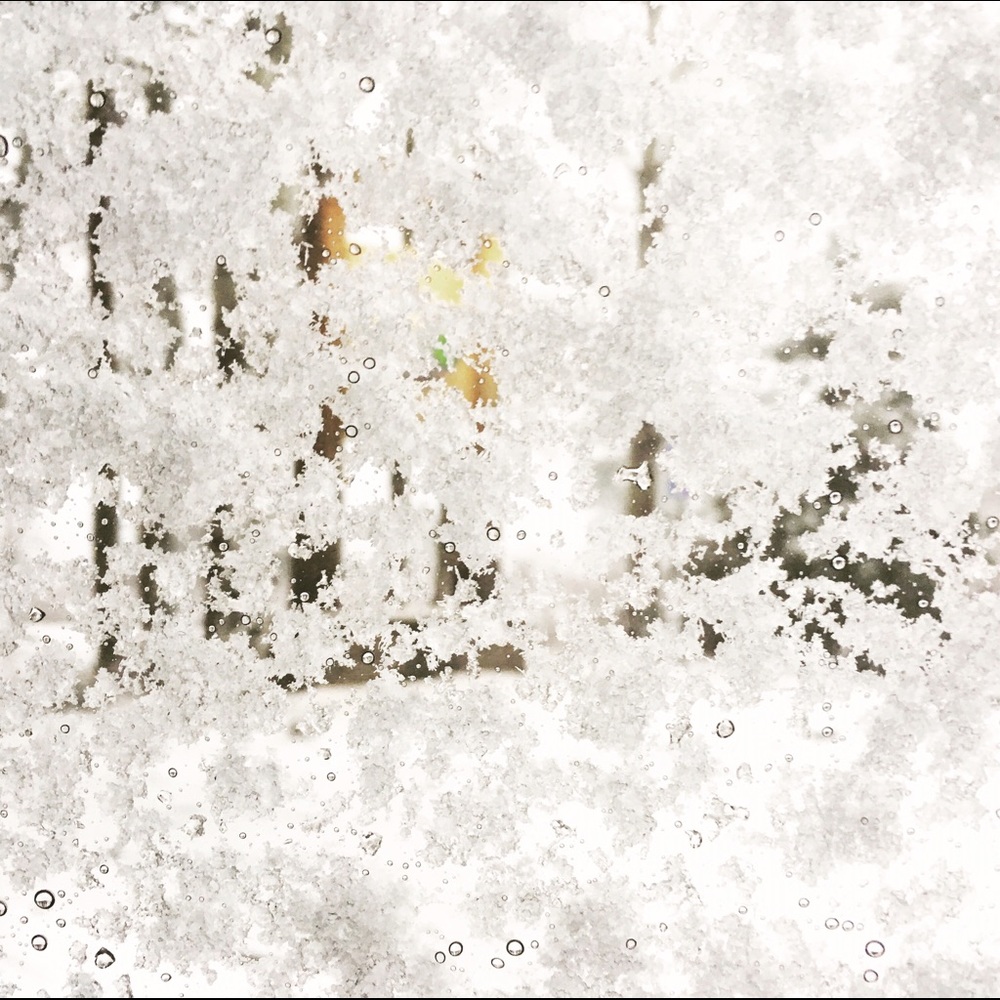 Meet your Posher, Sophie