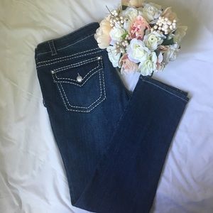 Paisley Sky Dark Denim Skinny Jean Sz 18 Petite