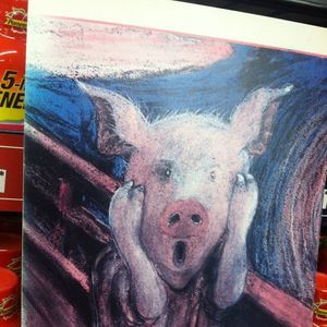 Meet your Posher, Elly