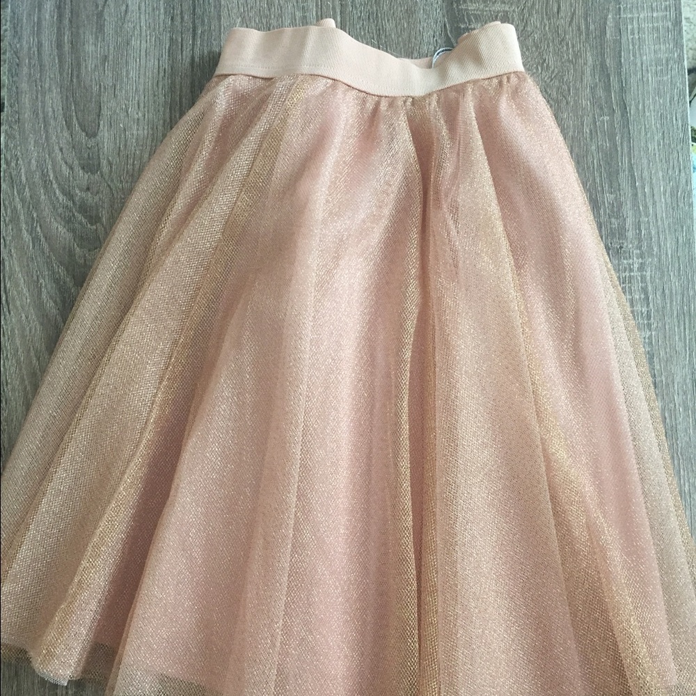 Tulle Skirt
