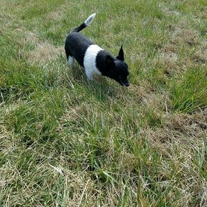 Meet your Posher, Mellany