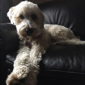 Meet your Posher, Rick