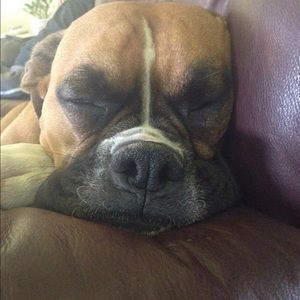 Meet your Posher, Brenda