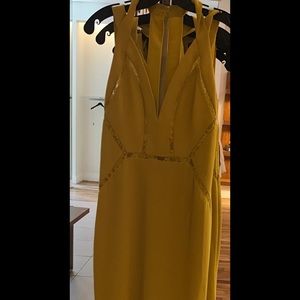 BCBG long evening gown