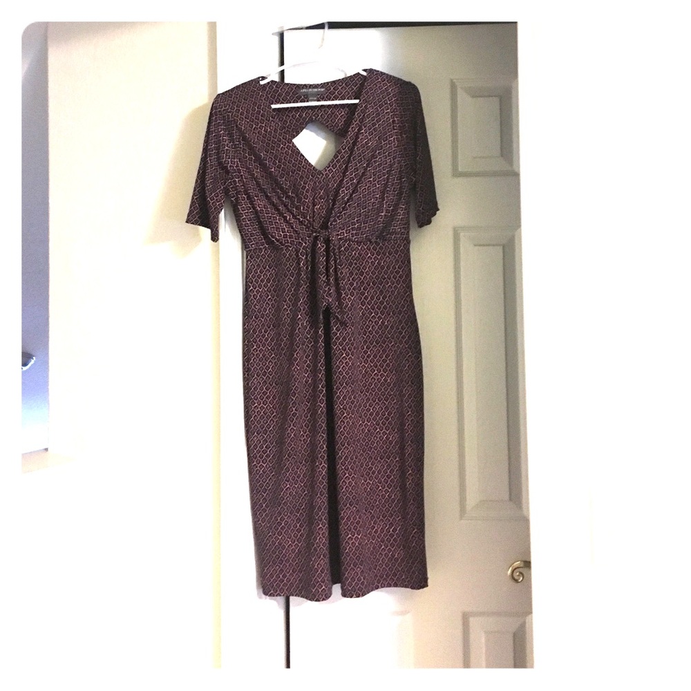 Maternity/Postpartum dress from A Pea In The Pod.