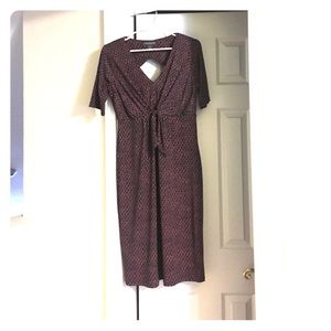 Maternity/Postpartum dress from A Pea In The Pod.